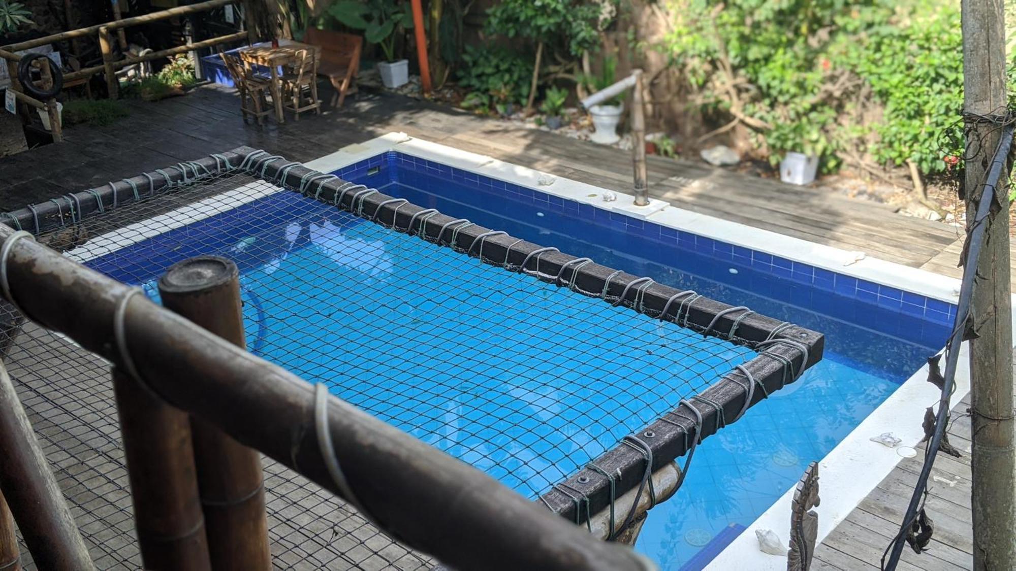 La Natura Hostel & Pool ปาโลมิโน ภายนอก รูปภาพ
