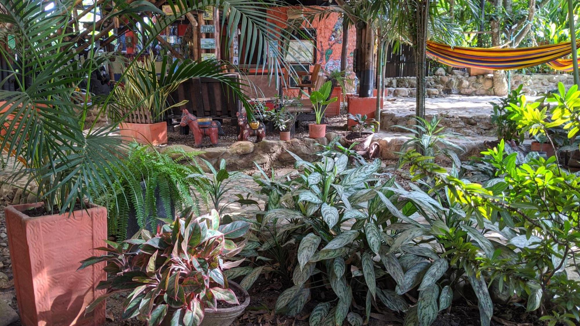 La Natura Hostel & Pool ปาโลมิโน ภายนอก รูปภาพ
