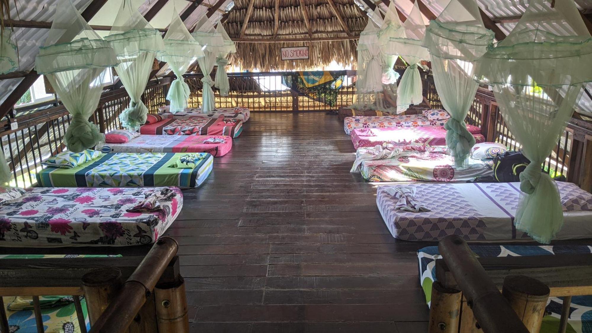 La Natura Hostel & Pool ปาโลมิโน ภายนอก รูปภาพ