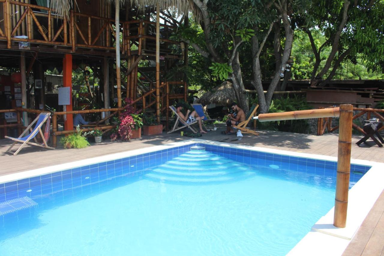 La Natura Hostel & Pool ปาโลมิโน ภายนอก รูปภาพ